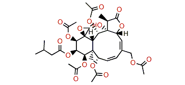 Juncin I